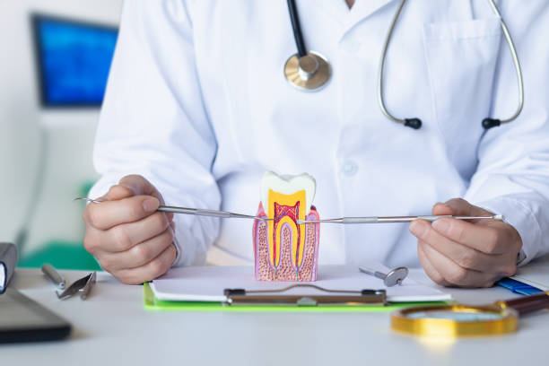 Best Urgent Dental Care for Toothache in Emporia, VA